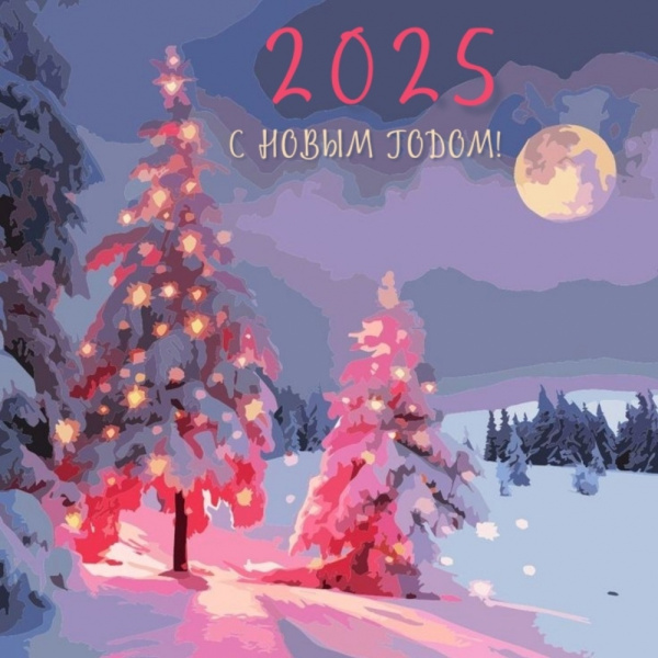 С Новым 2025-годом, коллеги!